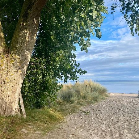 Feriendorf Suedstrand Haus 49 Pelzerhaken Eksteriør billede