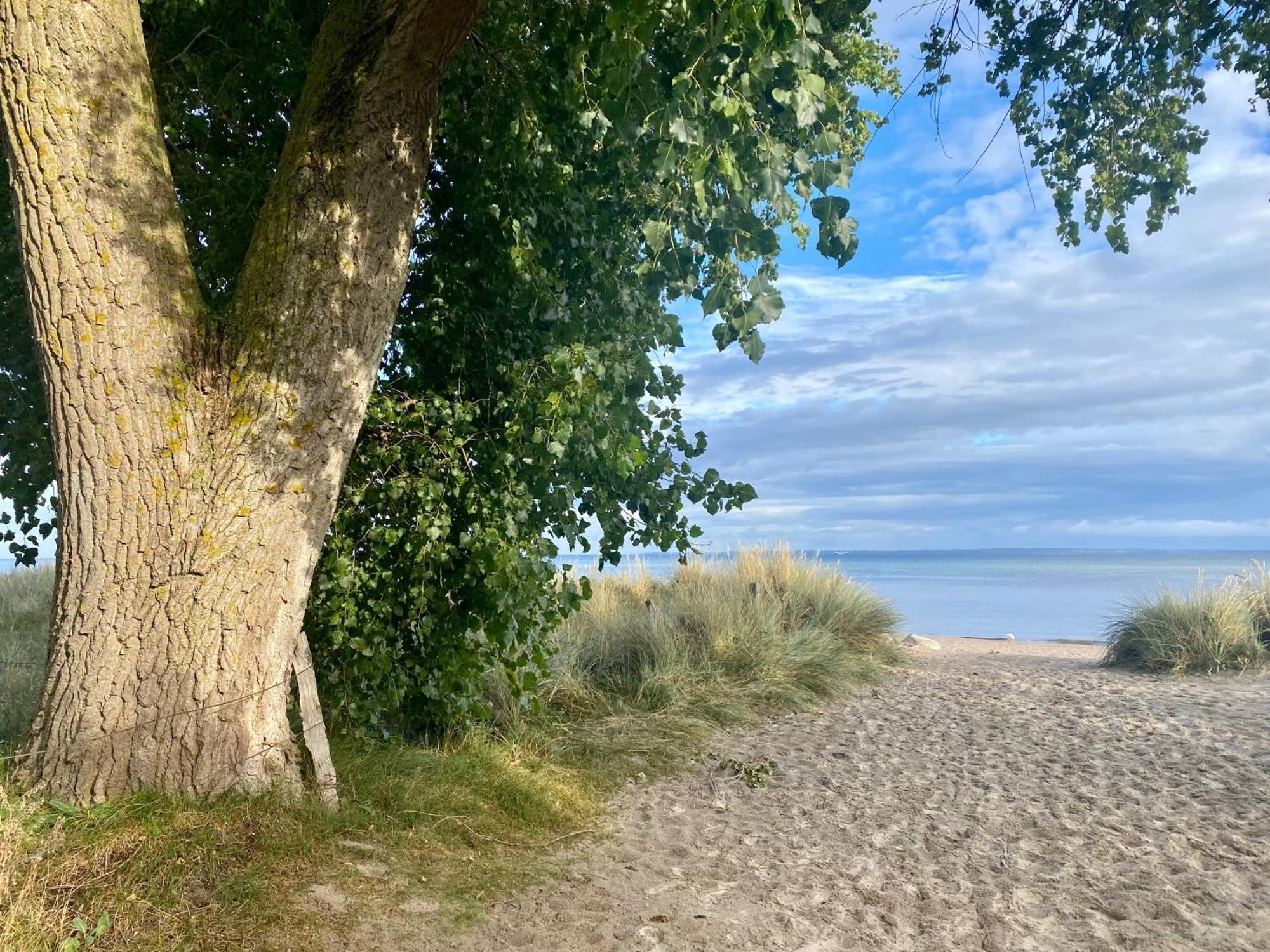 Feriendorf Suedstrand Haus 49 Pelzerhaken Eksteriør billede